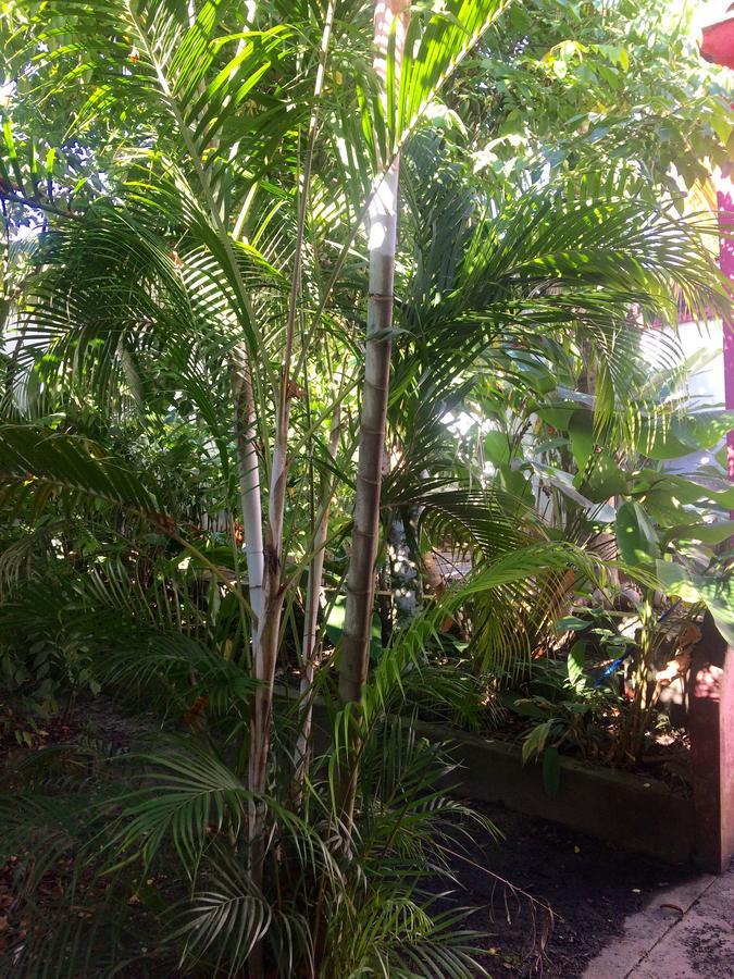 A Pousada The Amazon Within Iquitos Exterior foto